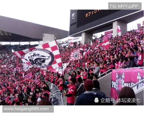 大板樱花与广州恒大激战正酣谁将赢得这场足球盛宴的荣耀之战